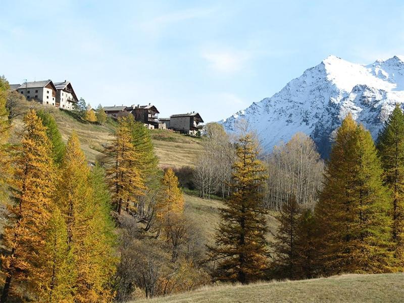 Auberge L'Estoilies Сен-Веран Экстерьер фото